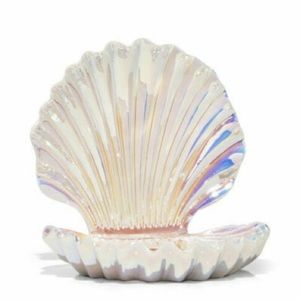 Bath and body works shell iridescent soap holder